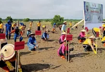 Polda Sultra Tanam Dua Ribu Bibit Mangrove di Teluk Kendari Polda Sultra Tanam Dua Ribu Bibit Mangrove di Teluk Kendari