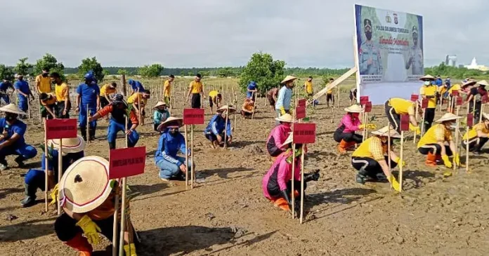 Polda Sultra Tanam Dua Ribu Bibit Mangrove di Teluk Kendari Polda Sultra Tanam Dua Ribu Bibit Mangrove di Teluk Kendari