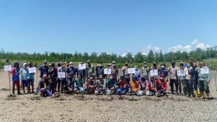 Dirjen PSKL Kementerian Lingkungan Hidup Tanam Pohon Mangrove di Muara Lanowulu