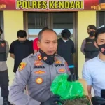 Polisi di Kendari Ringkus Tiga Pemuda Pengedar Ganja Lintas Provinsi Polisi di Kendari Ringkus Tiga Pemuda Pengedar Ganja Lintas Provinsi