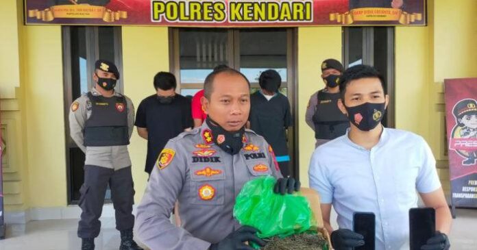 Polisi di Kendari Ringkus Tiga Pemuda Pengedar Ganja Lintas Provinsi