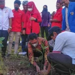 Peringati Sumpah Pemuda, Taruna Merah Putih Wakatobi Tanam Pohon di Makam Pahlawan Peringati Sumpah Pemuda, Taruna Merah Putih Wakatobi Tanam Pohon di Makam Pahlawan