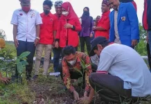 Peringati Sumpah Pemuda, Taruna Merah Putih Wakatobi Tanam Pohon di Makam Pahlawan Peringati Sumpah Pemuda, Taruna Merah Putih Wakatobi Tanam Pohon di Makam Pahlawan