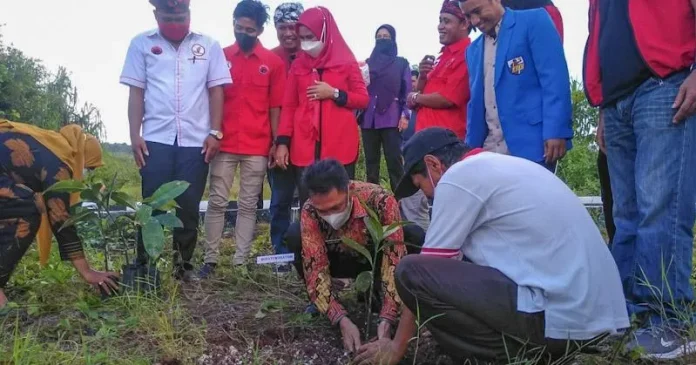 Peringati Sumpah Pemuda, Taruna Merah Putih Wakatobi Tanam Pohon di Makam Pahlawan