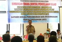Pemkab Kolut Gelar Bimtek Pengolaan Kakao Berbasis Korporasi Pemkab Kolut Gelar Bimtek Pengolaan Kakao Berbasis Korporasi