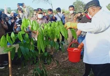 Gubernur Sultra dan BNPB Tanam Pohon di Kawasan Kolam Retensi Boulevard Gubernur Sultra dan BNPB Tanam Pohon di Kawasan Kolam Retensi Boulevard
