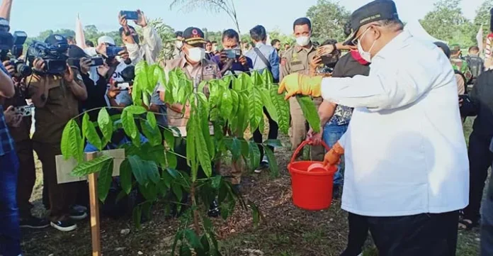 Gubernur Sultra dan BNPB Tanam Pohon di Kawasan Kolam Retensi Boulevard