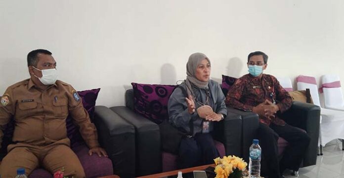 Pemda Wakatobi Bakal Beri Subsidi BBM ke PLN, Ini Tanggapan BPKP