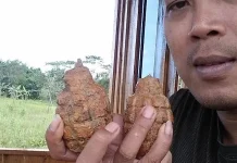 Dansat Brimob: Granat yang Ditemukan Warga di Konsel Harus Dimusnahkan Dansat Brimob: Granat yang Ditemukan Warga di Konsel Harus Dimusnahkan