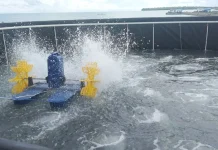 Lokasi Budidaya Udang Vaname Wakatobi Segera Rampung Lokasi Budidaya Udang Vaname Wakatobi Segera Rampung