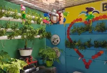 Dibantu BRI, Rudi Sukses Kembangkan Kampung Sayur Cempoko Dibantu BRI, Rudi Sukses Kembangkan Kampung Sayur Cempoko