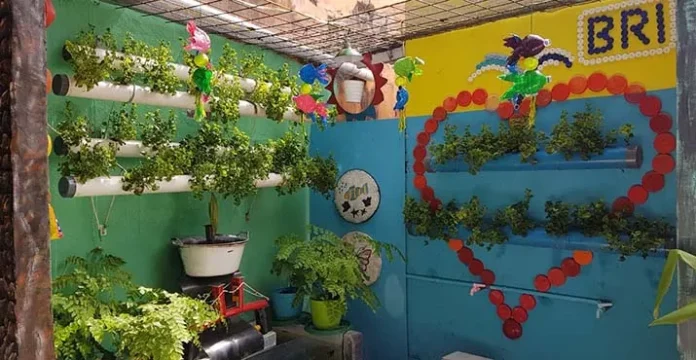 Dibantu BRI, Rudi Sukses Kembangkan Kampung Sayur Cempoko