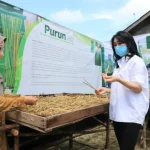 Nasabah Binaan BRI Sulap Rumput Jadi Sedotan Nasabah Binaan BRI Sulap Rumput Jadi Sedotan