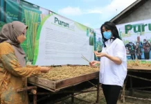 Nasabah Binaan BRI Sulap Rumput Jadi Sedotan Nasabah Binaan BRI Sulap Rumput Jadi Sedotan