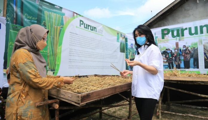 Nasabah Binaan BRI Sulap Rumput Jadi Sedotan