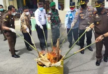 Kejari Muna Musnahkan Barang Bukti Narkoba dan Sajam Kejari Muna Musnahkan Barang Bukti Narkoba dan Sajam