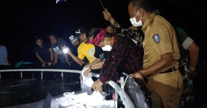 Bupati Wakatobi Luncurkan Program Budidaya Udang Vaname dengan Sistem Bioflok