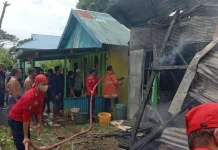 Dua Unit Rumah di Kendari Terbakar, Kerugian Capai Rp120 Juta Dua Unit Rumah di Kendari Terbakar, Kerugian Capai Rp120 Juta