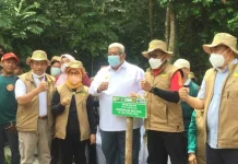 Ali Mazi Apresiasi AMI RI yang Menanam Ratusan Pohon Terancam Punah Ali Mazi Apresiasi AMI RI yang Menanam Ratusan Pohon Terancam Punah