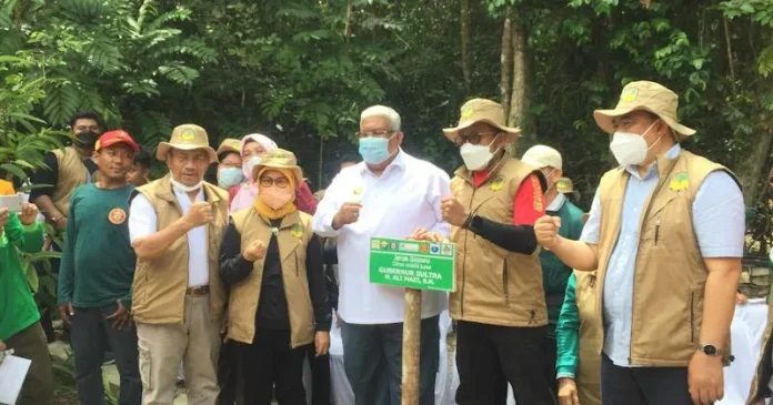 Ali Mazi Apresiasi AMI RI yang Menanam Ratusan Pohon Terancam Punah Ali Mazi Apresiasi AMI RI yang Menanam Ratusan Pohon Terancam Punah