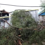 Diterjang Angin Puting Beliung, Dua Rumah di Tiworo Utara Rusak Berat Diterjang Angin Puting Beliung, Dua Rumah di Tiworo Utara Rusak Berat