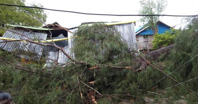 Diterjang Angin Puting Beliung, Dua Rumah di Tiworo Utara Rusak Berat