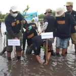 Pemda dan Balai Taman Nasional Wakatobi Tanam 210 Ribu Mangrove di Pulau Kaledupa Pemda dan Balai Taman Nasional Wakatobi Tanam 210 Ribu Mangrove di Pulau Kaledupa