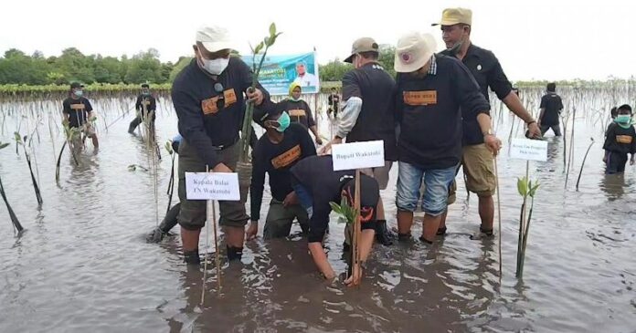 Pemda dan Balai Taman Nasional Wakatobi Tanam 210 Ribu Mangrove di Pulau Kaledupa