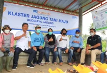 BRI Sambut Baik Peningkatan Alokasi KUR Nasional 2022 BRI Sambut Baik Peningkatan Alokasi KUR Nasional 2022