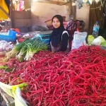 Harga Cabai di Kendari Mulai Turun, Ini Penyebabnya Harga Cabai di Kendari Mulai Turun, Ini Penyebabnya