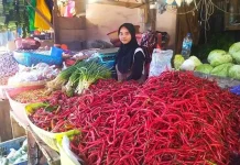 Harga Cabai di Kendari Mulai Turun, Ini Penyebabnya Harga Cabai di Kendari Mulai Turun, Ini Penyebabnya