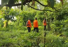 Empat Hari Hilang di Hutan, Petani Merica di Koltim Belum Ditemukan Empat Hari Hilang di Hutan, Petani Merica di Koltim Belum Ditemukan