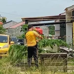 Penemuan Mayat di Kendari, Polisi: Tidak Ada Tanda Kekerasan Penemuan Mayat di Kendari, Polisi: Tidak Ada Tanda Kekerasan