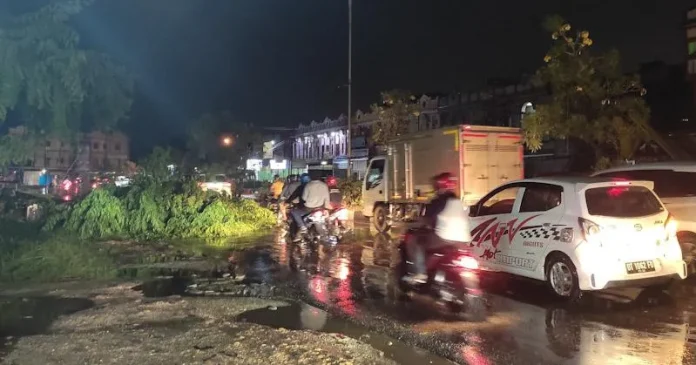 Pohon Tumbang di Kendari Tutupi Separuh Jalan