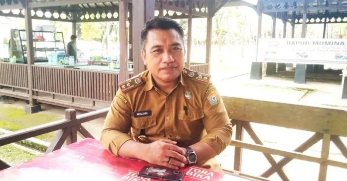 Masa Jabatan 7 Kada di Sultra Berakhir Tahun Ini, Kekosongan akan Diisi Pj