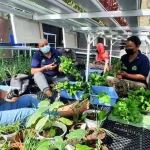 Dibina BRI, Kelompok Wanita Tani Hidroponik Ini Sukses Jadi Percontohan Dibina BRI, Kelompok Wanita Tani Hidroponik Ini Sukses Jadi Percontohan