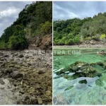 Pulau Pisang, Keindahan Wisata Bahari Kecamatan Wolo Kolaka Pulau Pisang, Keindahan Wisata Bahari Kecamatan Wolo Kolaka