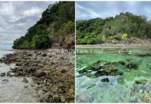 Pulau Pisang, Keindahan Wisata Bahari Kecamatan Wolo Kolaka Pulau Pisang, Keindahan Wisata Bahari Kecamatan Wolo Kolaka