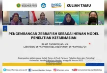 Prodi Farmasi UMW Kendari Kembangkan Ikan Zebra untuk Bahan Penelitian Prodi Farmasi UMW Kendari Kembangkan Ikan Zebra untuk Bahan Penelitian