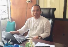 HPN di Sultra Berdampak Positif, Pelaku Usaha Perlu Memanfaatkannya Pengamat Ekonomi Syamsir Nur