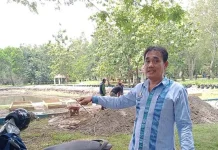 Pemkab Konawe Tanam Sayuran di Lahan Kantor Bupati Pemkab Konawe Tanam Sayuran di Lahan Kantor Bupati