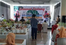 Kontes dan Festival Tanaman Aglaonema di Kolut Sukses Digelar Kontes dan Festival Tanaman Aglaonema di Kolut Sukses Digelar