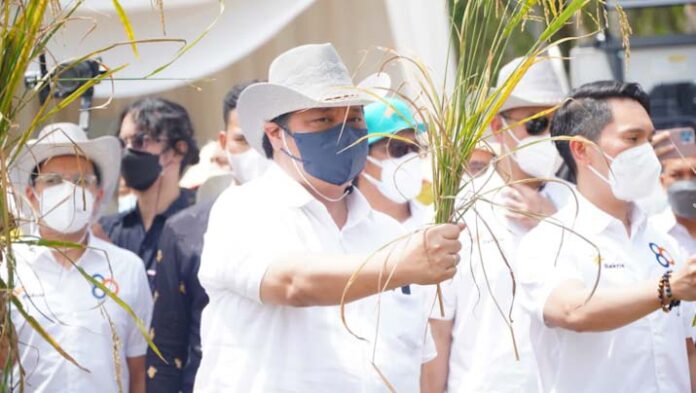 Kunker ke Lampung, Menko Airlangga Resmikan Pasar Pulung dan Tinjau Ketersediaan Pangan