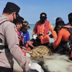 Korban Hilang di Pesisir Pantai Napa Ditemukan Meninggal Korban Hilang di Pesisir Pantai Napa Ditemukan Meninggal