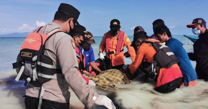 Korban Hilang di Pesisir Pantai Napa Ditemukan Meninggal