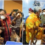 Ali Mazi Sukai Kerajinan Ukiran Limbah Kayu Jati dari Mubar Ali Mazi Sukai Kerajinan Ukiran Limbah Kayu Jati dari Mubar