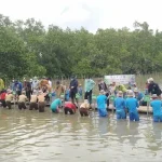 200 Pelajar dan Masyarakat Kendari Ikut Menanam Mangrove di Puncak HPN 2022 200 Pelajar dan Masyarakat Kendari Ikut Menanam Mangrove di Puncak HPN 2022