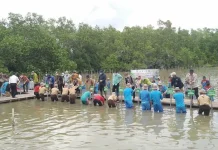 200 Pelajar dan Masyarakat Kendari Ikut Menanam Mangrove di Puncak HPN 2022 200 Pelajar dan Masyarakat Kendari Ikut Menanam Mangrove di Puncak HPN 2022