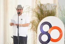 Tingkatkan Ketersediaan Pangan, Pemerintah Dorong Pengoptimalan Budidaya Padi Gogo Tingkatkan Ketersediaan Pangan, Pemerintah Dorong Pengoptimalan Budidaya Padi Gogo