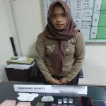 Edarkan Sabu, Polisi Ringkus IRT di Konut Edarkan Sabu, Polisi Ringkus IRT di Konut